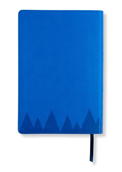 KJV Explorer Bible for Kids (Blue)
