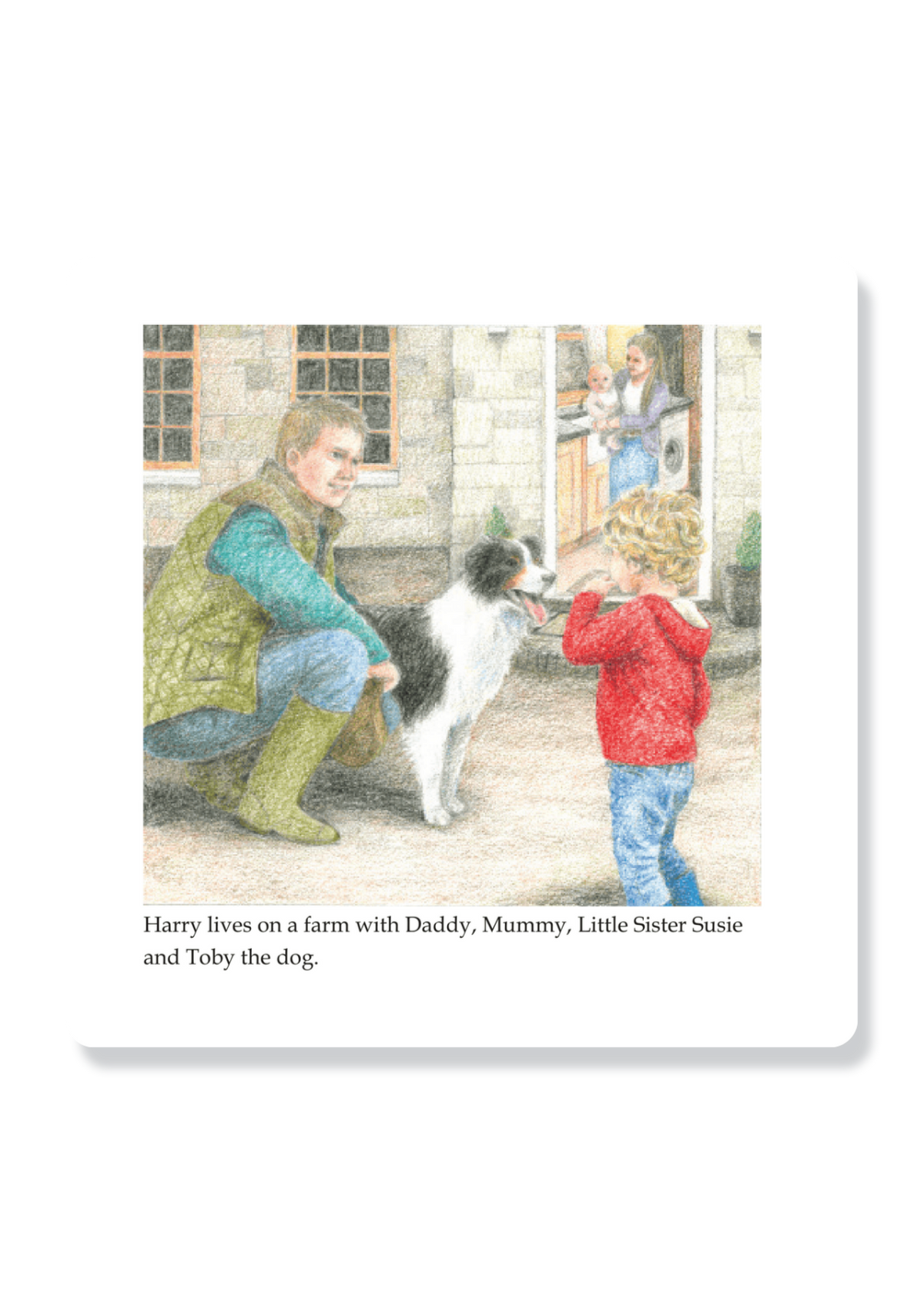 Harry And The Lost Sheep