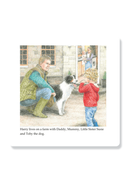 Harry And The Lost Sheep
