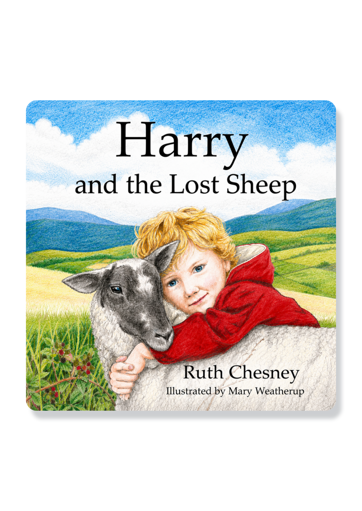 Harry And The Lost Sheep