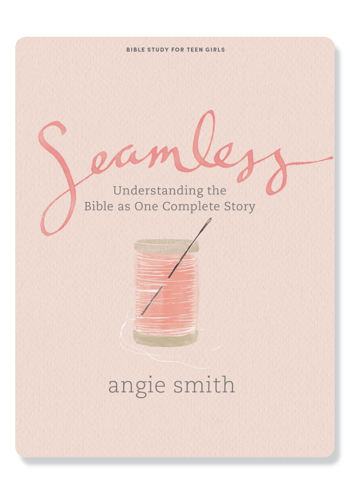 Seamless: Teen Girls Bible Study Book