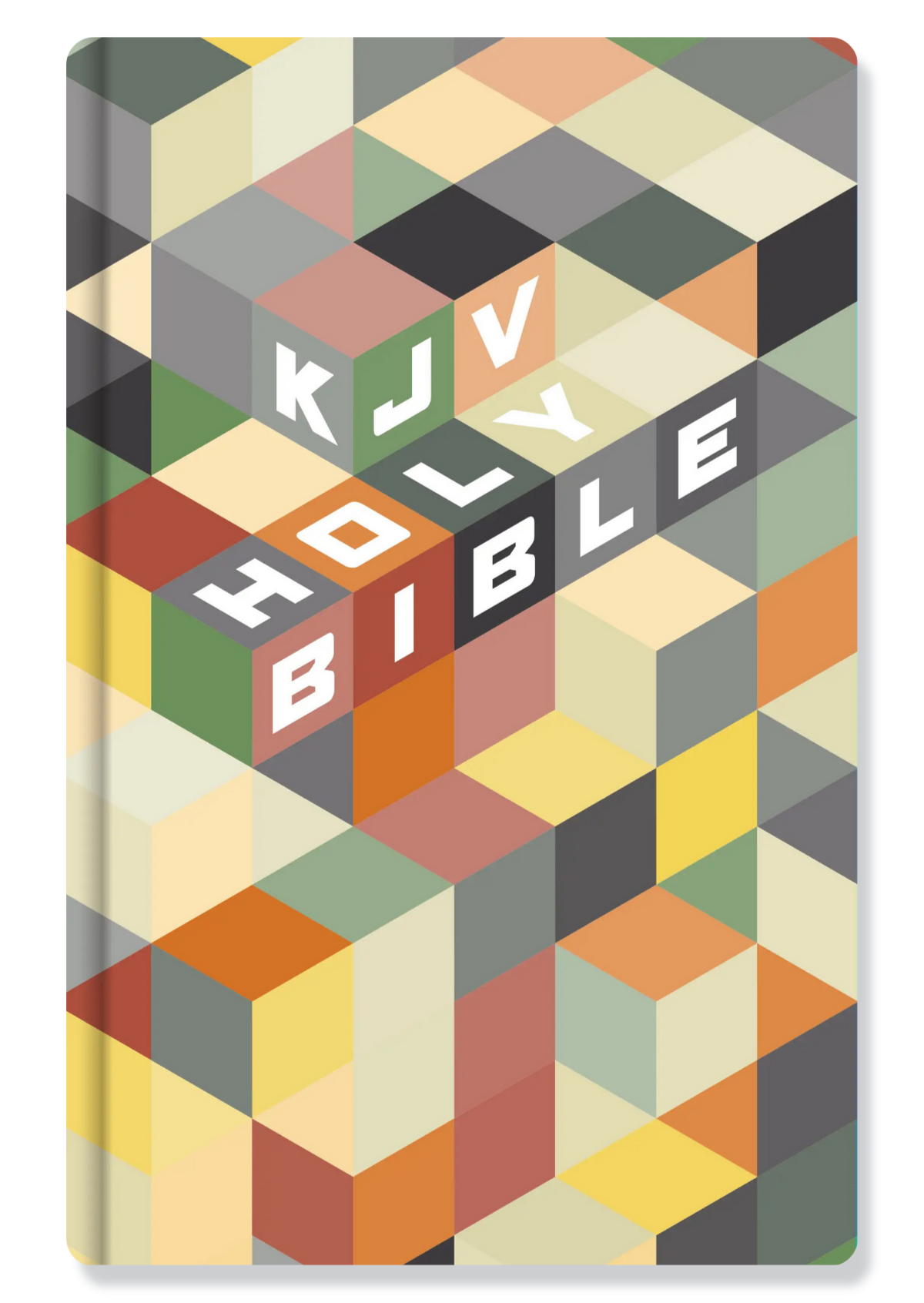 KJV Kids Bible