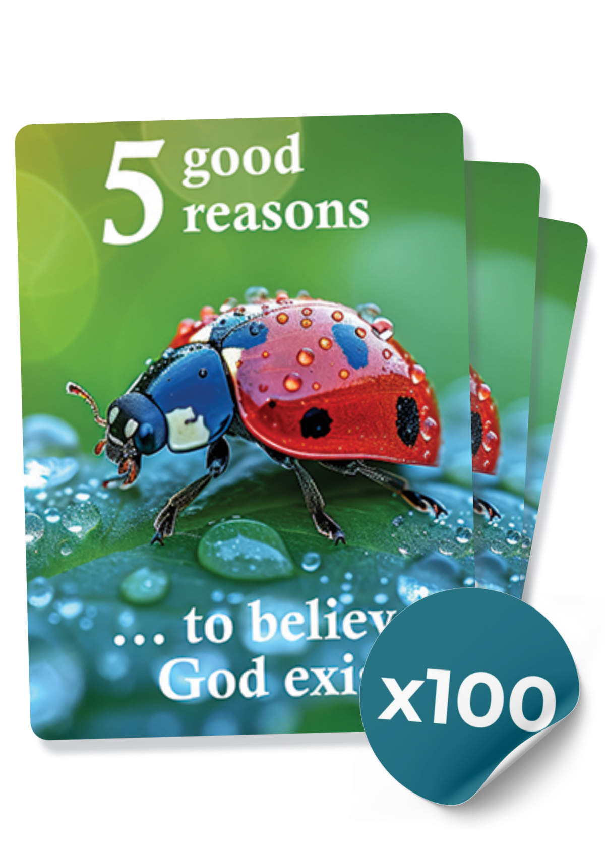 5 Good Reasons To Believe God Exists
