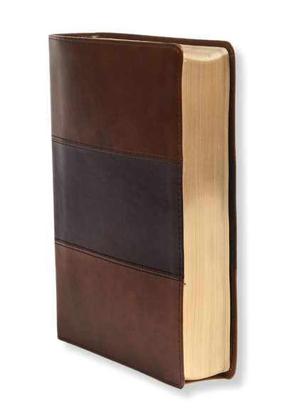 Holman KJV Study Bible, Full Colour Leather (Brown)