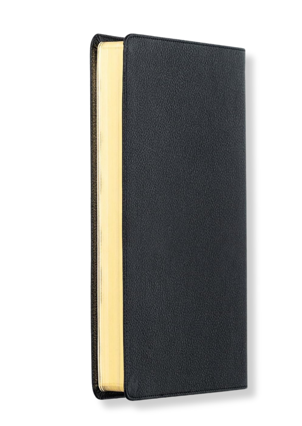 KJV Large Print Ultrathin Reference Bible, Genuine Leather (Black)
