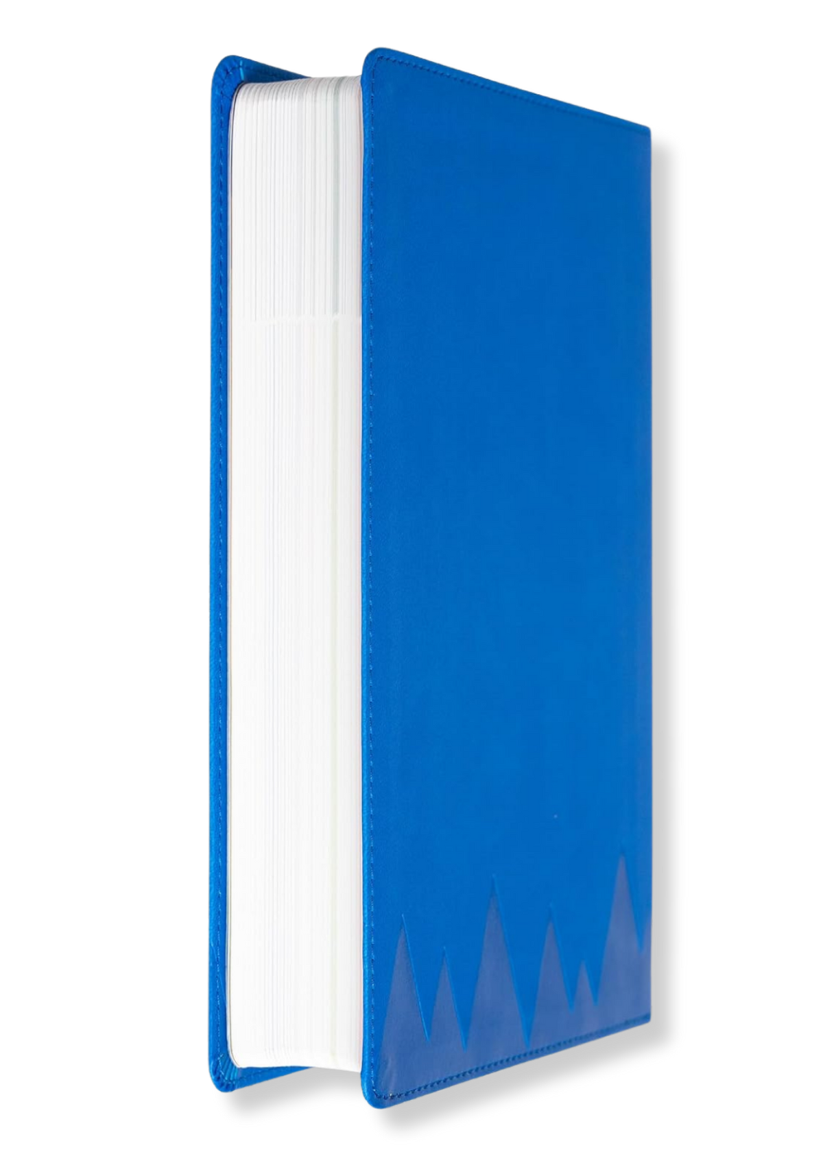 KJV Explorer Bible for Kids (Blue)