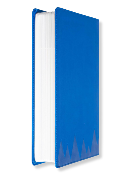 KJV Explorer Bible for Kids (Blue)