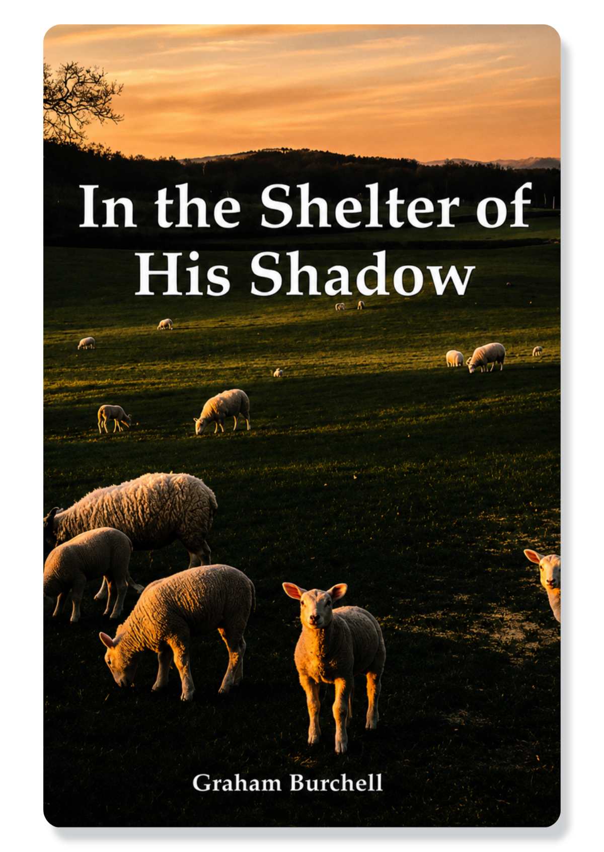 Psalm 91: In the Shelter of His Shadow