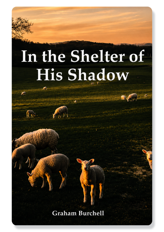 Psalm 91: In the Shelter of His Shadow