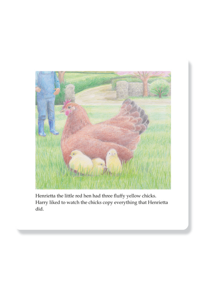 Harry And The Careless Chick