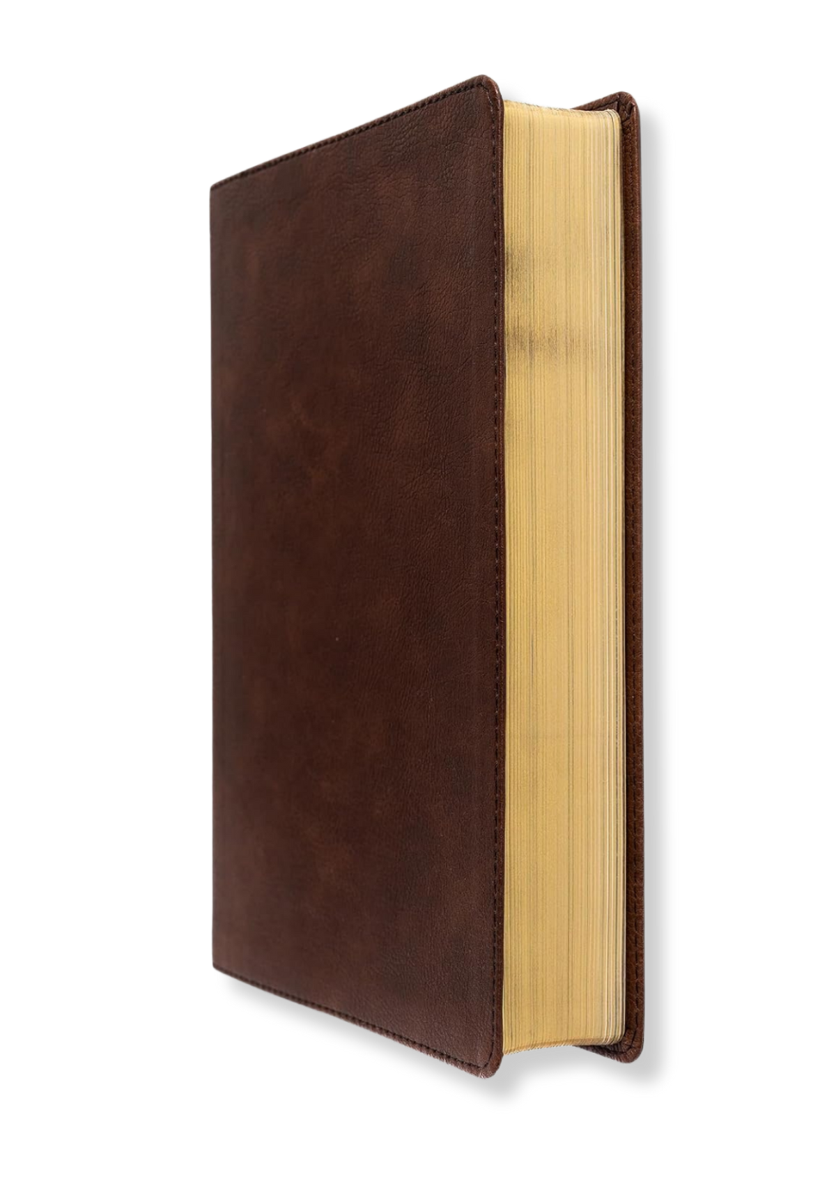 CSB Apologetics Study Bible For Students, Leathertouch (Brown)