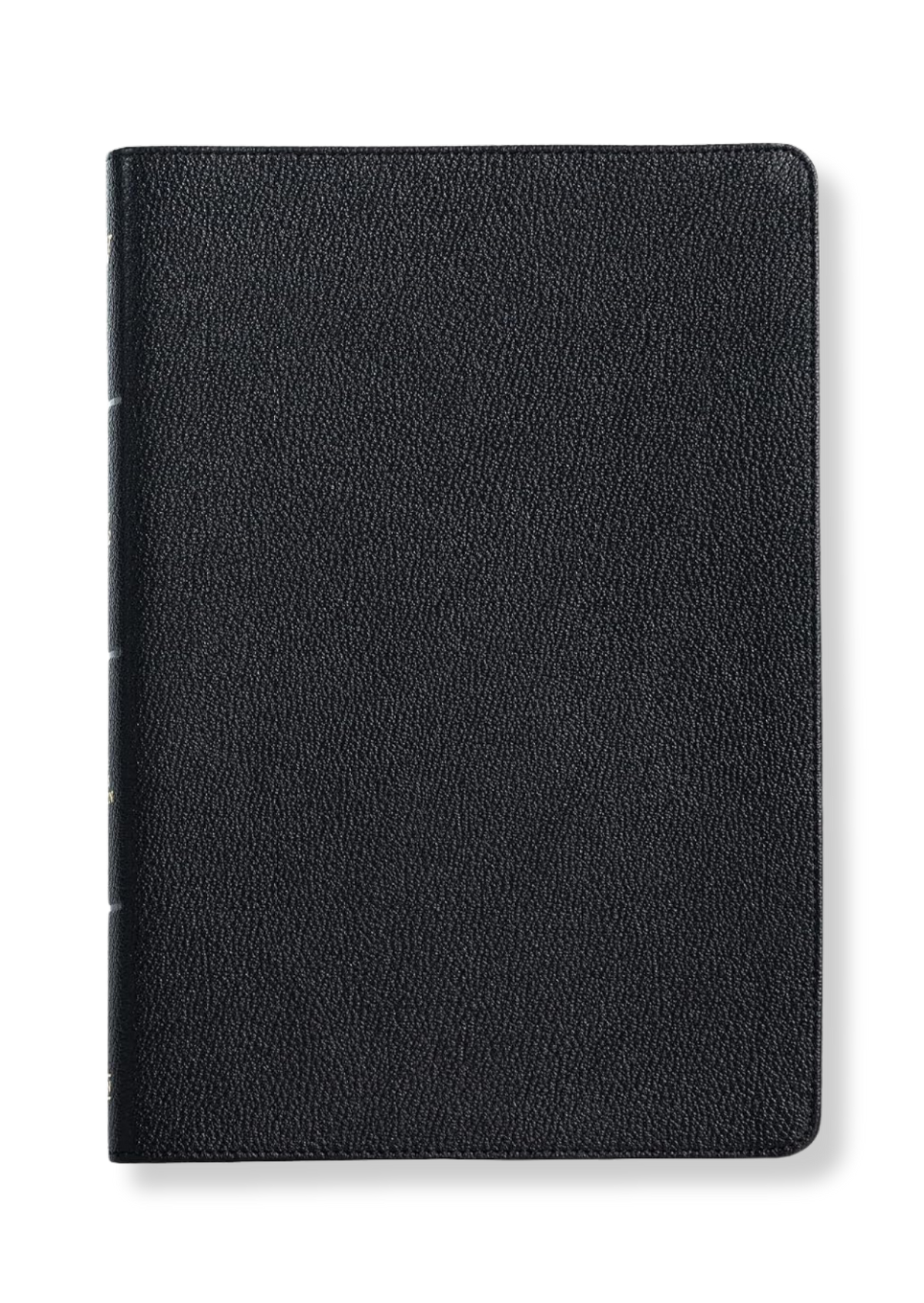 KJV Large Print Ultrathin Reference Bible, Genuine Leather (Black)