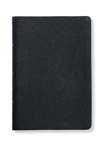 KJV Large Print Ultrathin Reference Bible, Genuine Leather (Black)