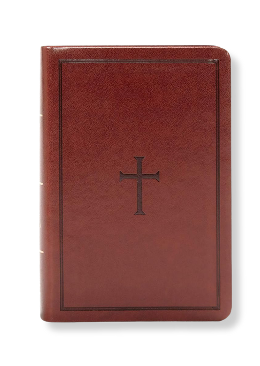 KJV Large Print Compact Reference Bible, Leathertouch (Brown)
