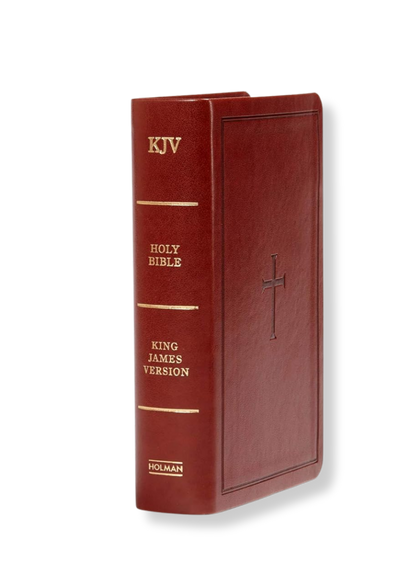 KJV Large Print Compact Reference Bible, Leathertouch (Brown)