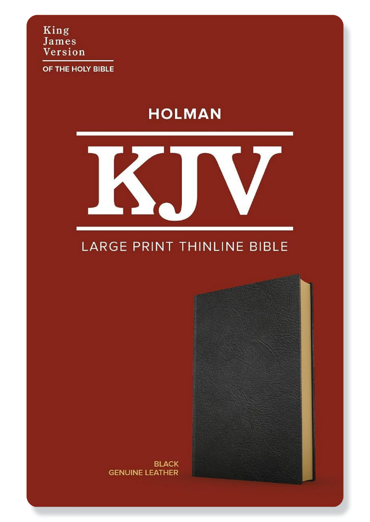 KJV Large Print Ultrathin Reference Bible, Genuine Leather (Black)