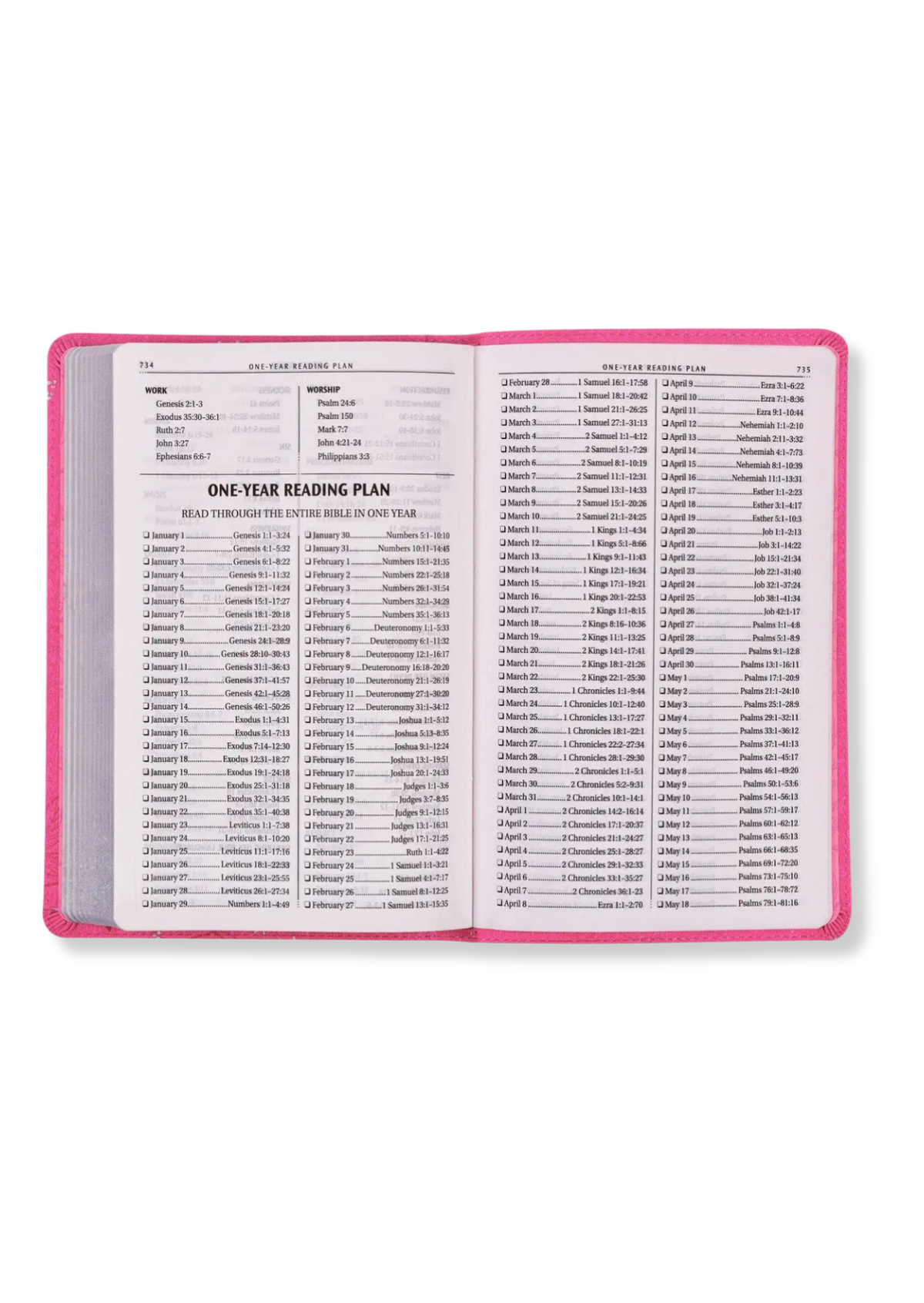 KJV Gift Edition, Imitation Leather (Pink)