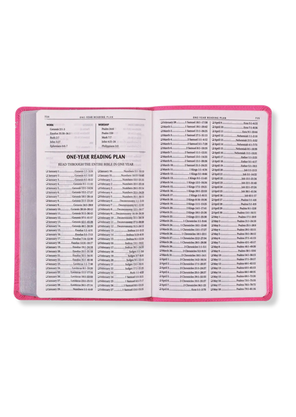 KJV Gift Edition, Imitation Leather (Pink)
