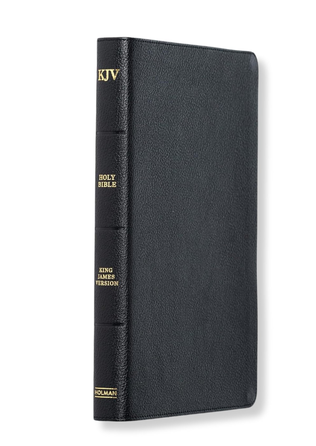 KJV Large Print Ultrathin Reference Bible, Genuine Leather (Black)