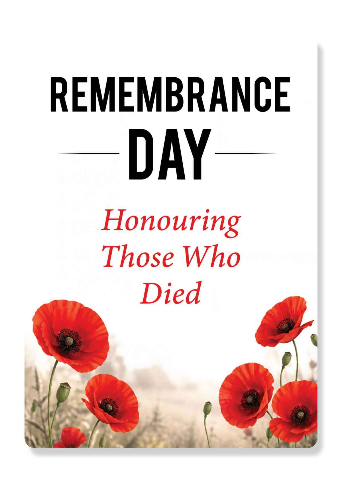 Remembrance Day: Honouring Those Who Died