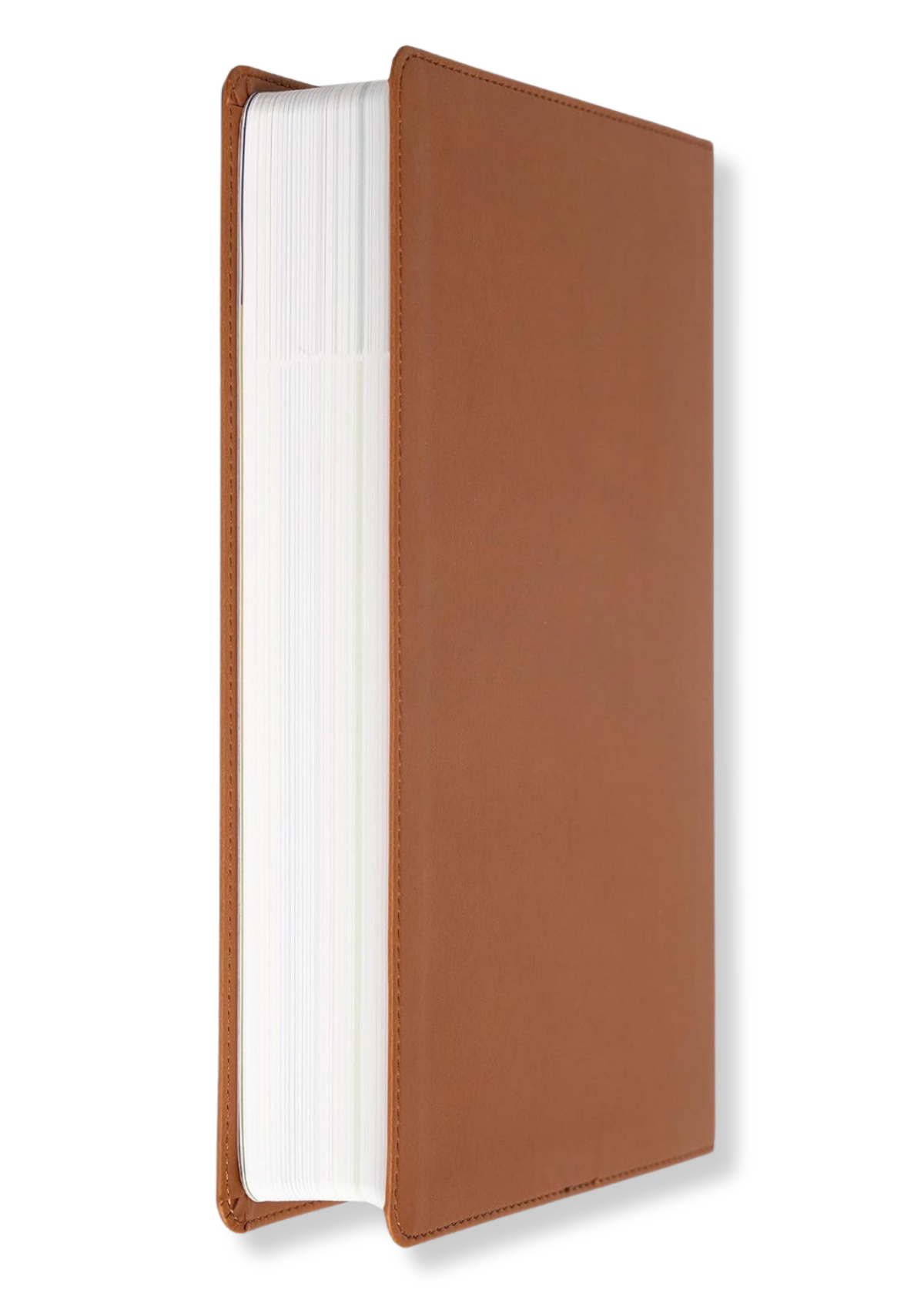 KJV Explorer Bible for Kids (Brown)
