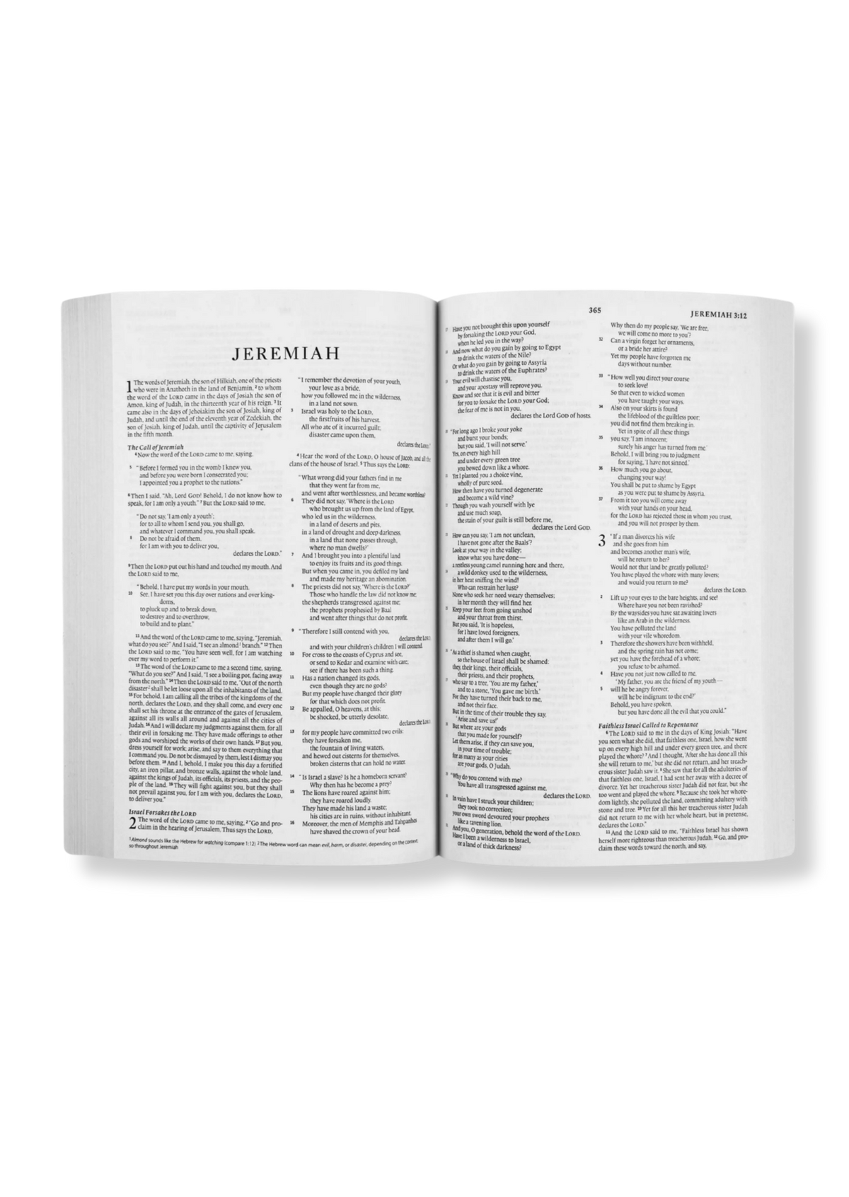 ESV Economy Bible