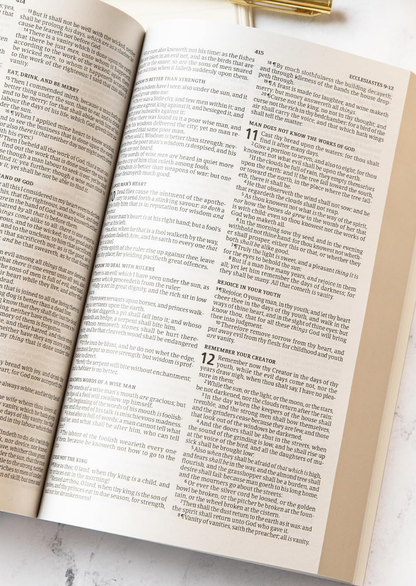 KJV Outreach Bible for Kids