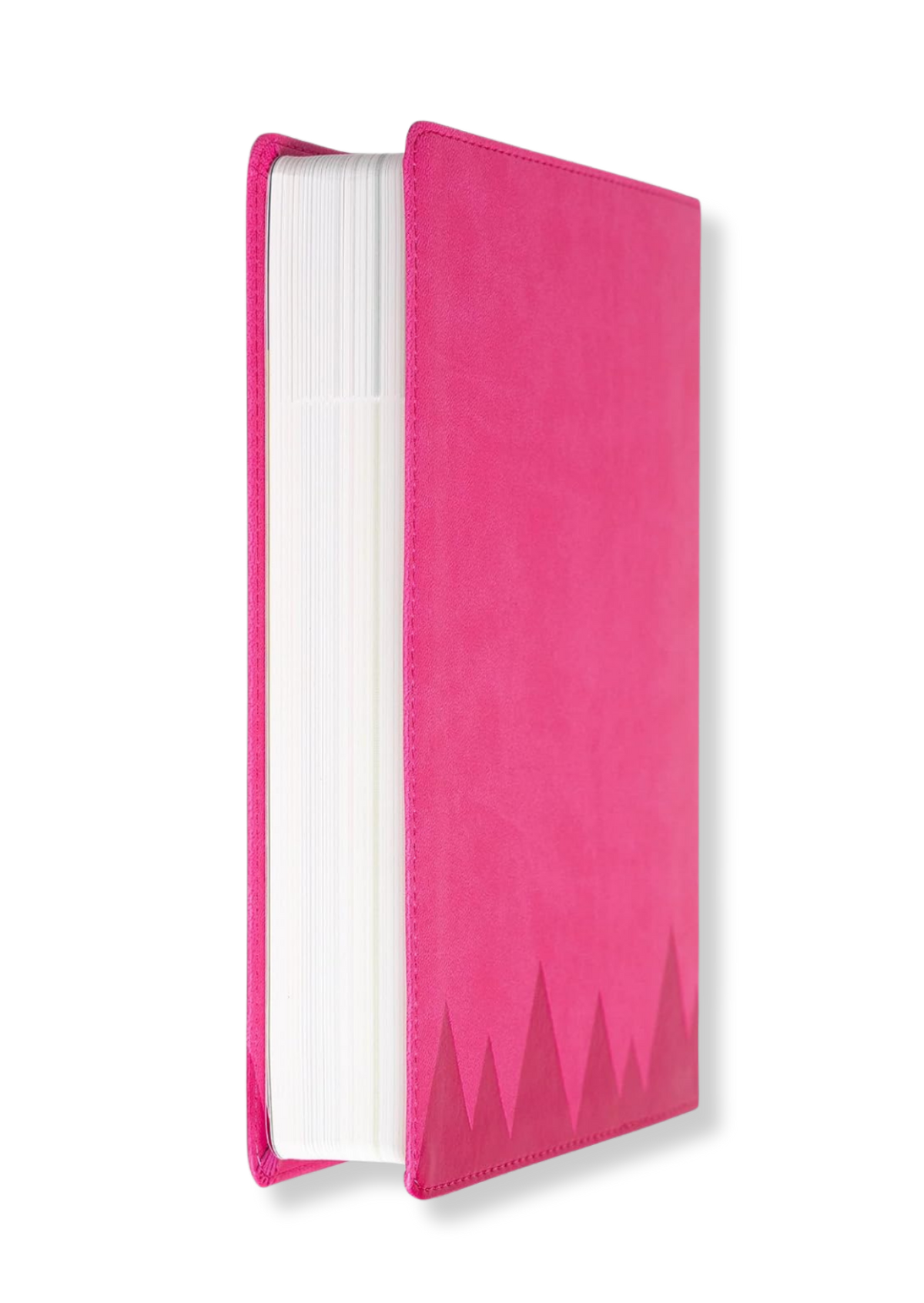 KJV Explorer Bible for Kids (Pink)