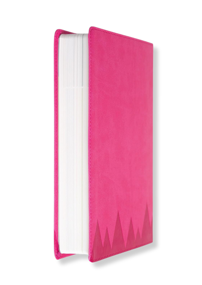 KJV Explorer Bible for Kids (Pink)