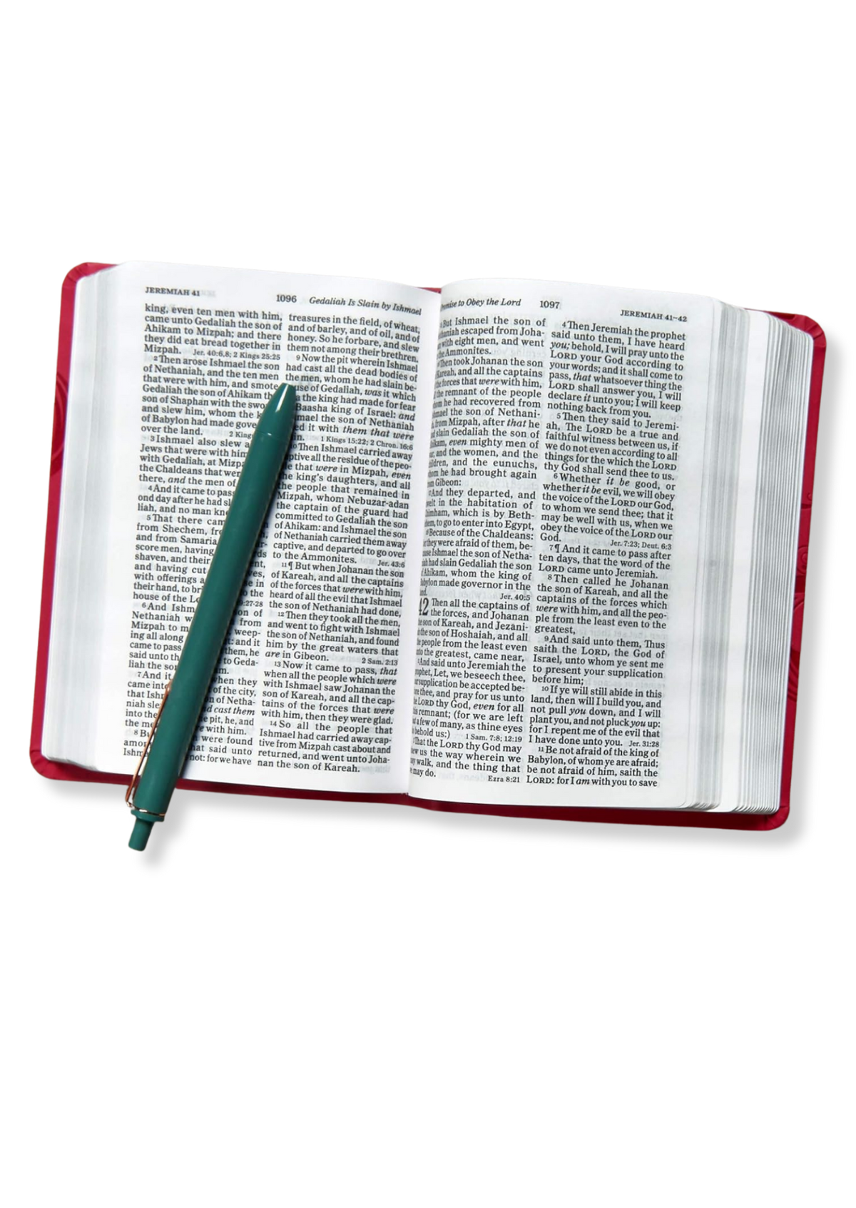 KJV Large Print Compact Reference Bible, Leathertouch (Pink)