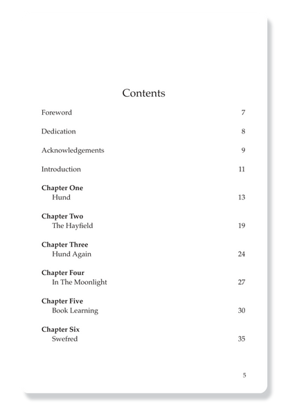 Book 2:  Wulfgar and the Dragon