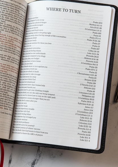 KJV Large Print Ultrathin Reference Bible, Genuine Leather (Black)