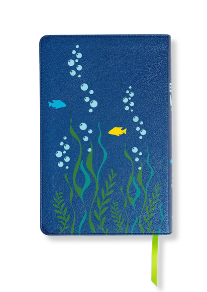 KJV Easy-For-Me Bible For Early Readers, Imitation Leather (Seafoam)