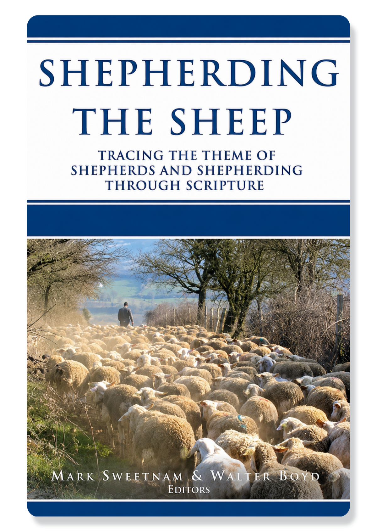 Shepherding The Sheep