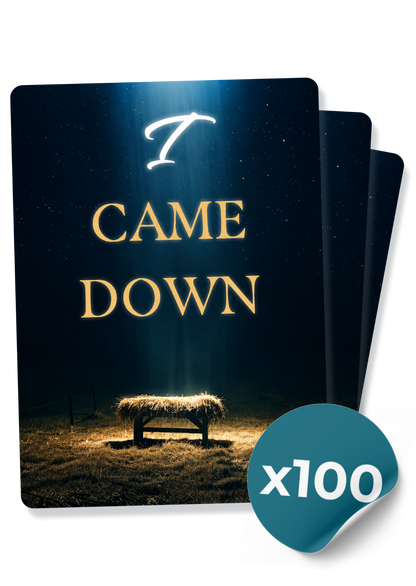 I Came Down