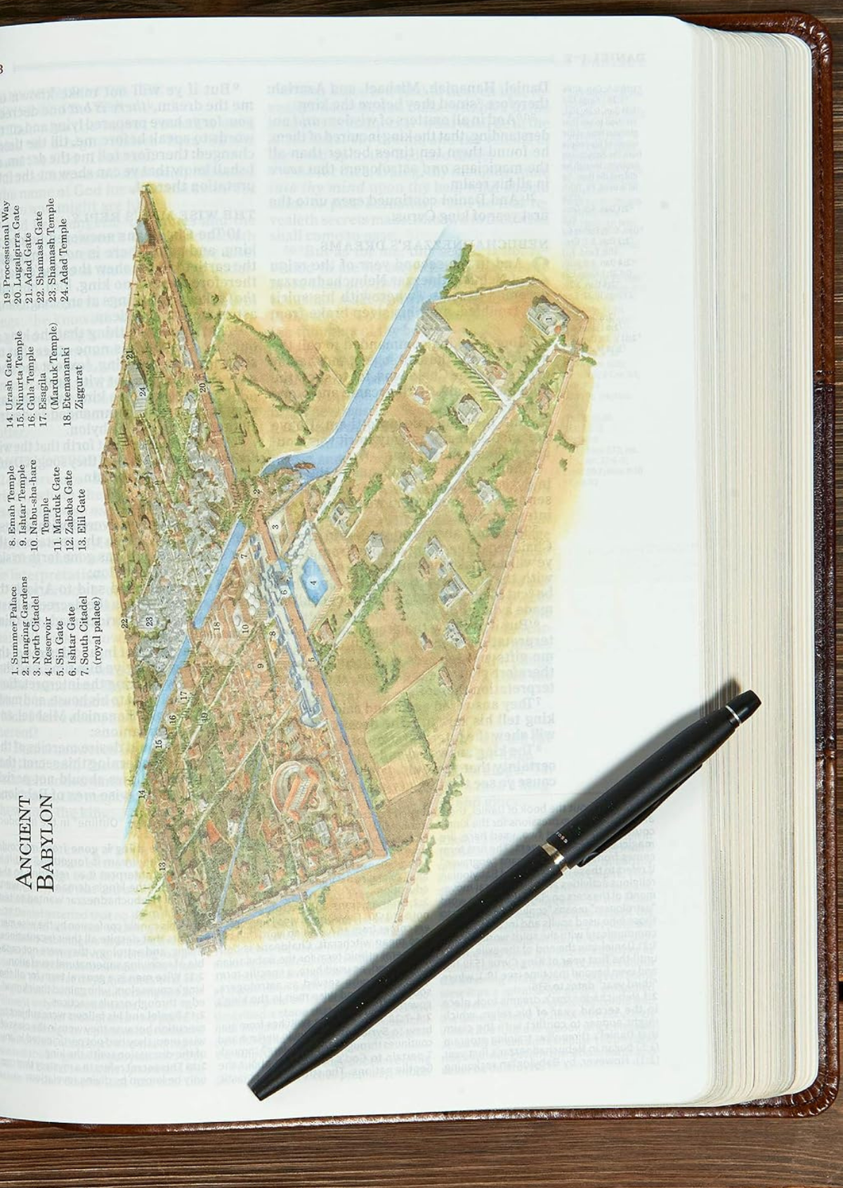 Holman KJV Study Bible, Full Colour Leather (Brown)