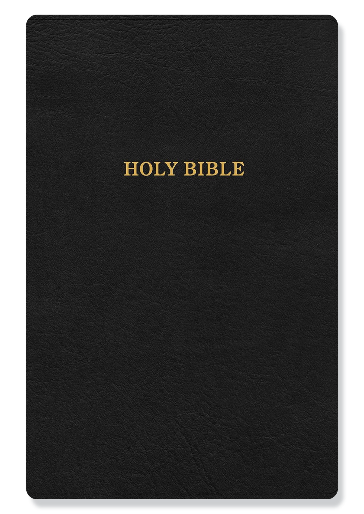 KJV Large Print Ultrathin Reference Bible, LeatherTouch (Black)