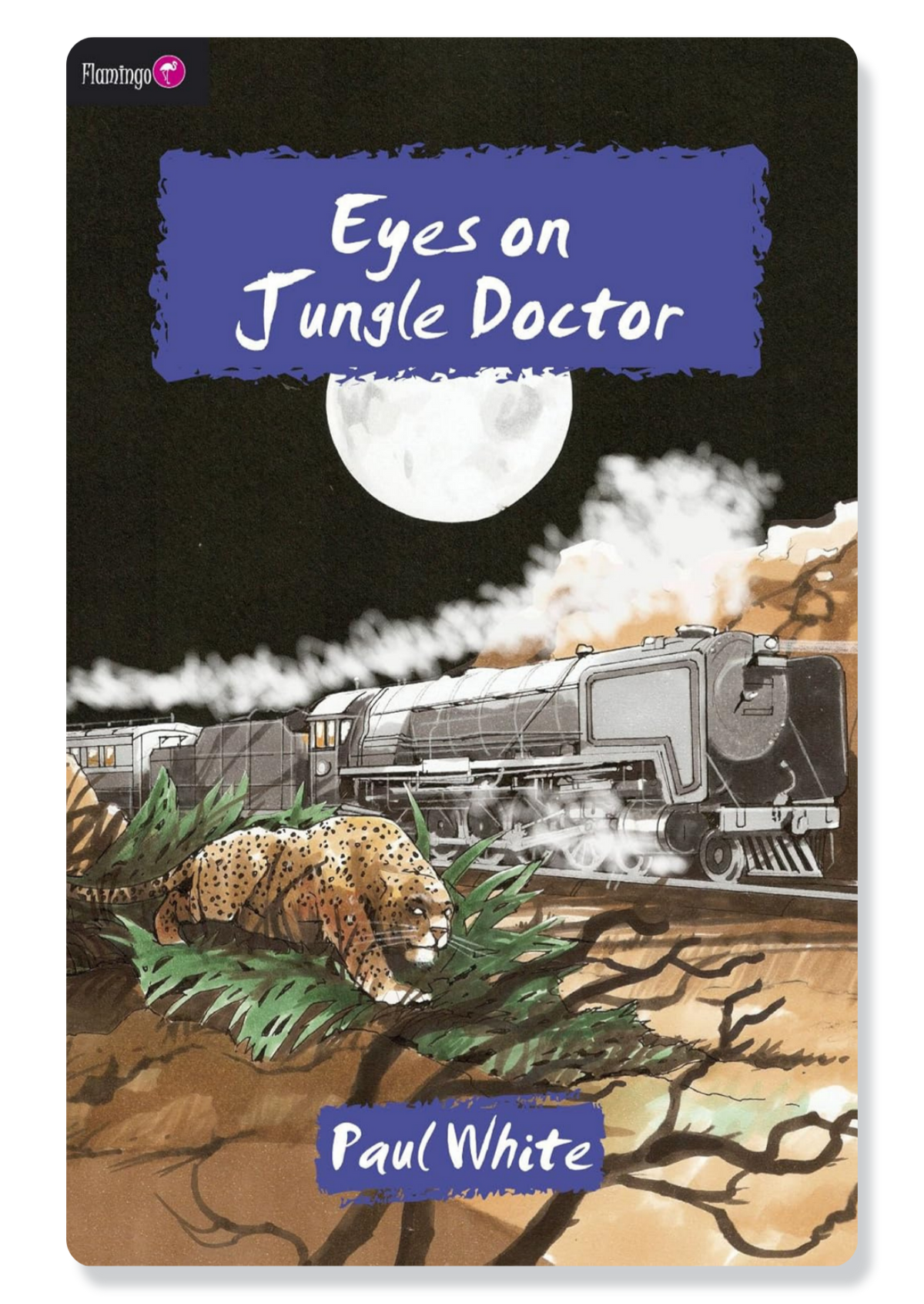 Eyes On Jungle Doctor