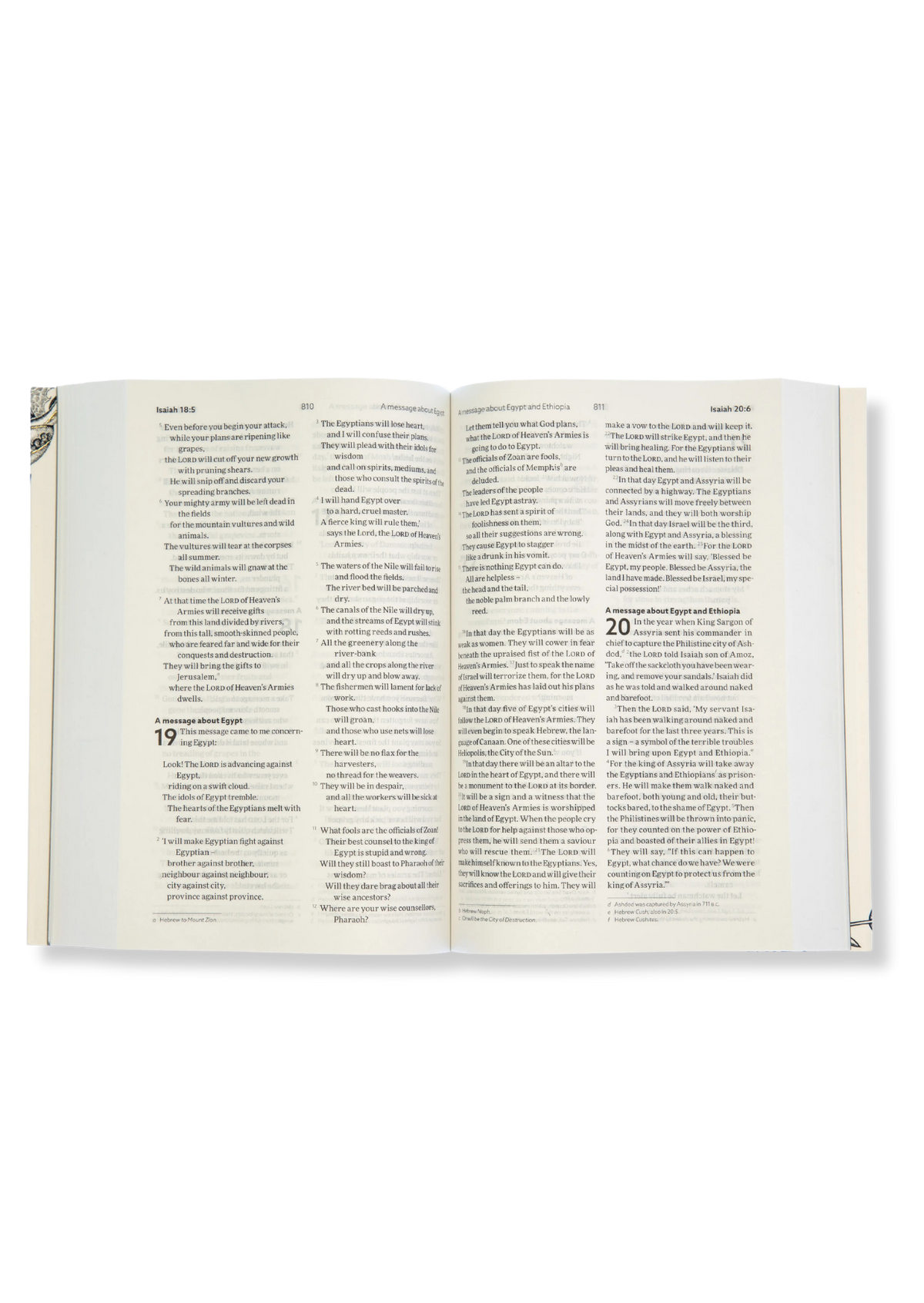 NLT Anglicised Bible (White)