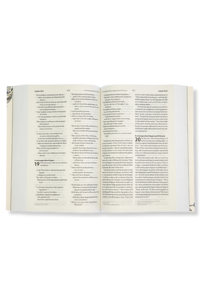 NLT Anglicised Bible (White)