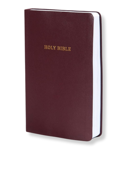 KJV Gift And Award Bible, Imitation Leather (Burgundy)