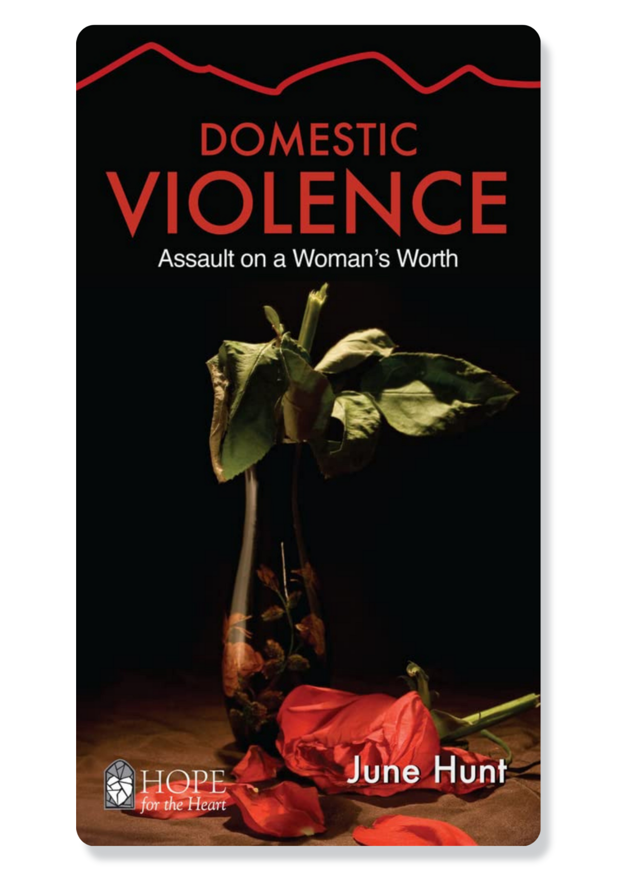 Domestic Violence: Assault on a Woman's Worth