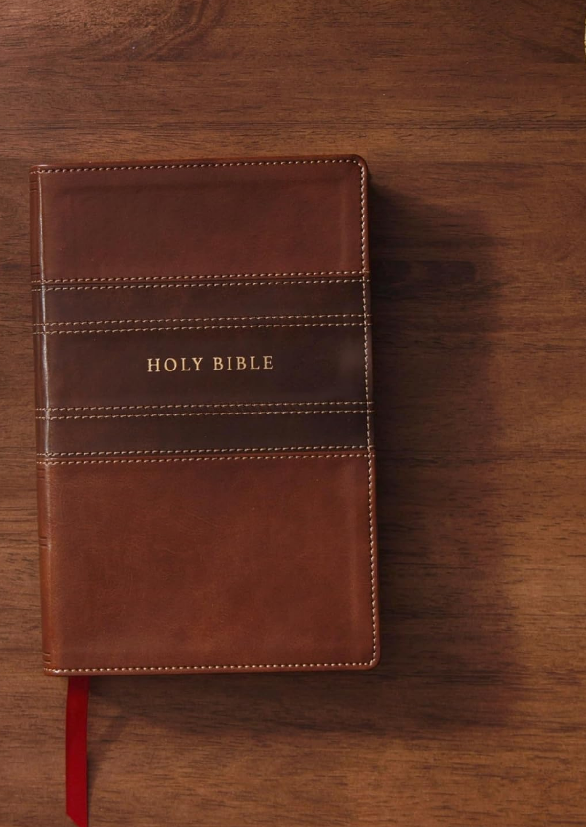 NKJV Personal Size Large Print Reference Bible (Brown)