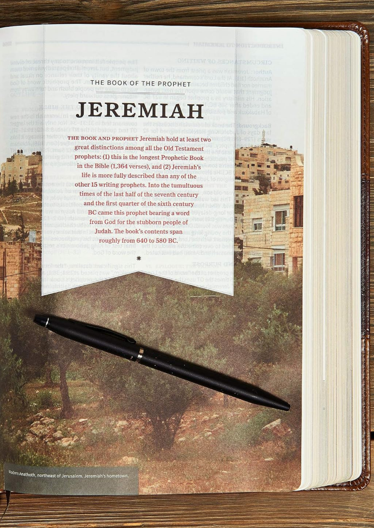 Holman KJV Study Bible, Full Colour Leather (Brown)
