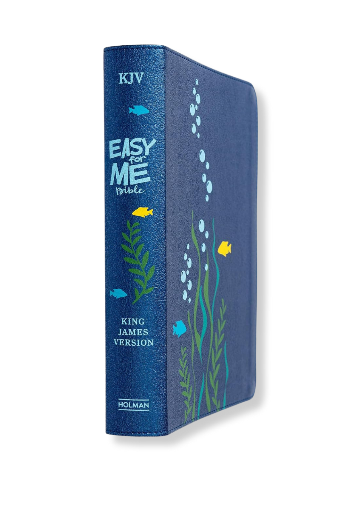 KJV Easy-For-Me Bible For Early Readers, Imitation Leather (Seafoam)