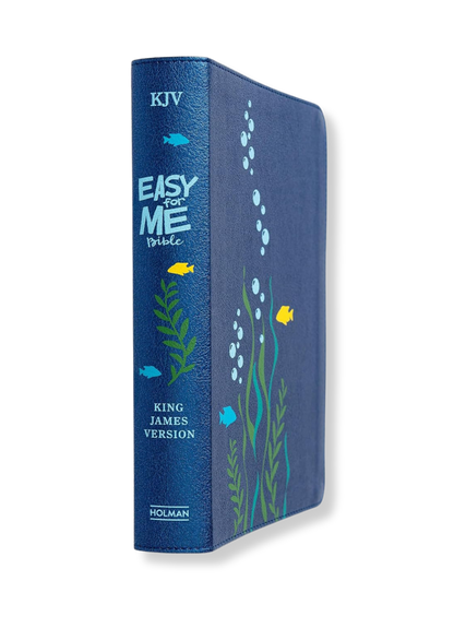KJV Easy-For-Me Bible For Early Readers, Imitation Leather (Seafoam)