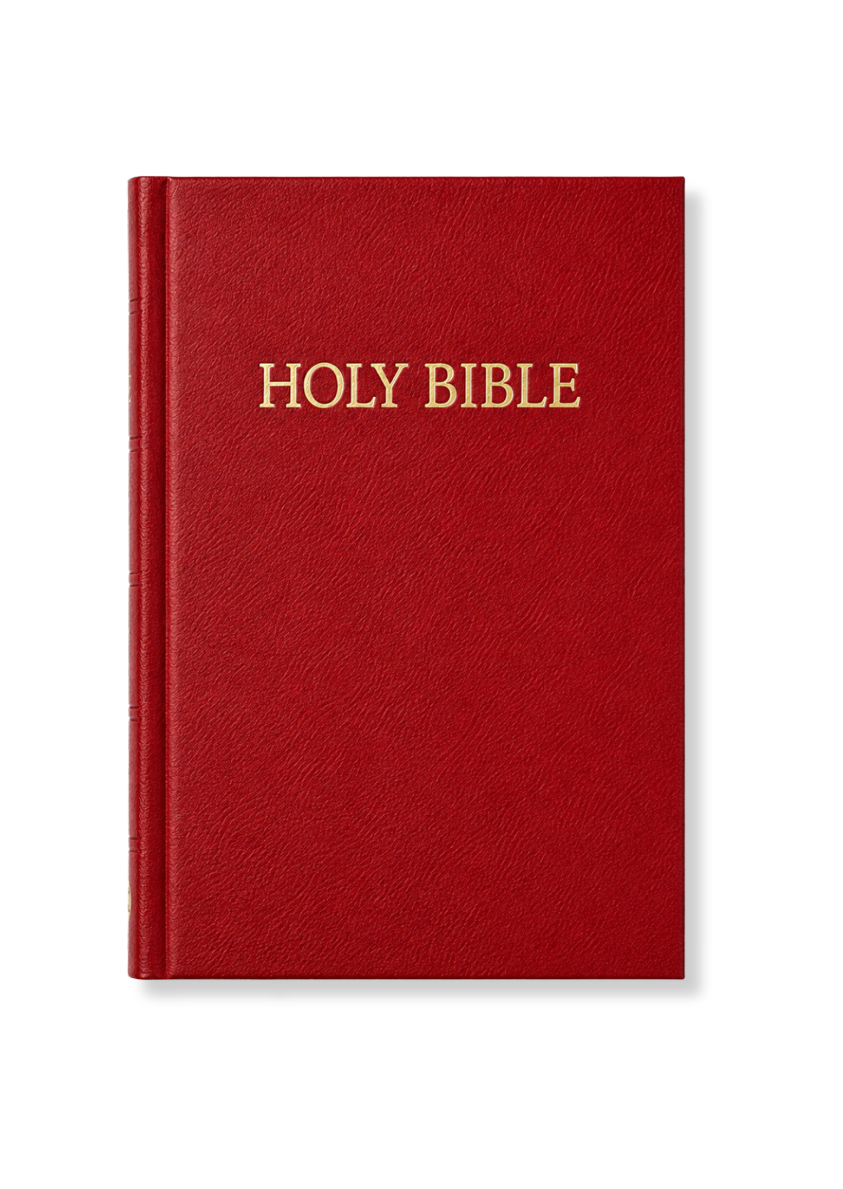 Compact KJV Bible (Red)